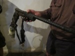 A poacher's home made firearm